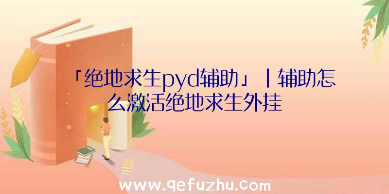 「绝地求生pyd辅助」|辅助怎么激活绝地求生外挂